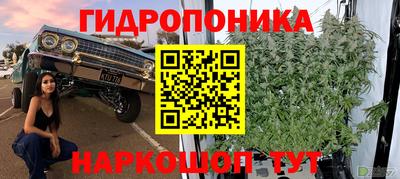гашик Пушкино