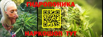 гашик Пушкино