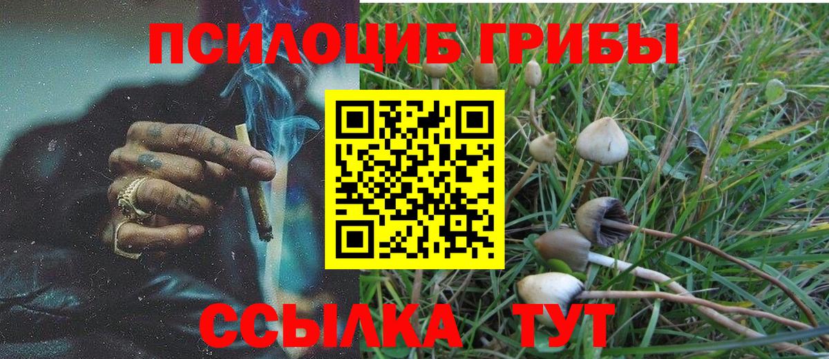 Псилоцибиновые грибы мицелий Северск